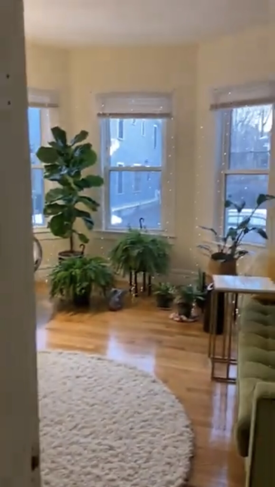 2 bed, 1 bath apartment for rent at 4 Watson St Unit 1L, Cambridgeport — photo 12 of 12