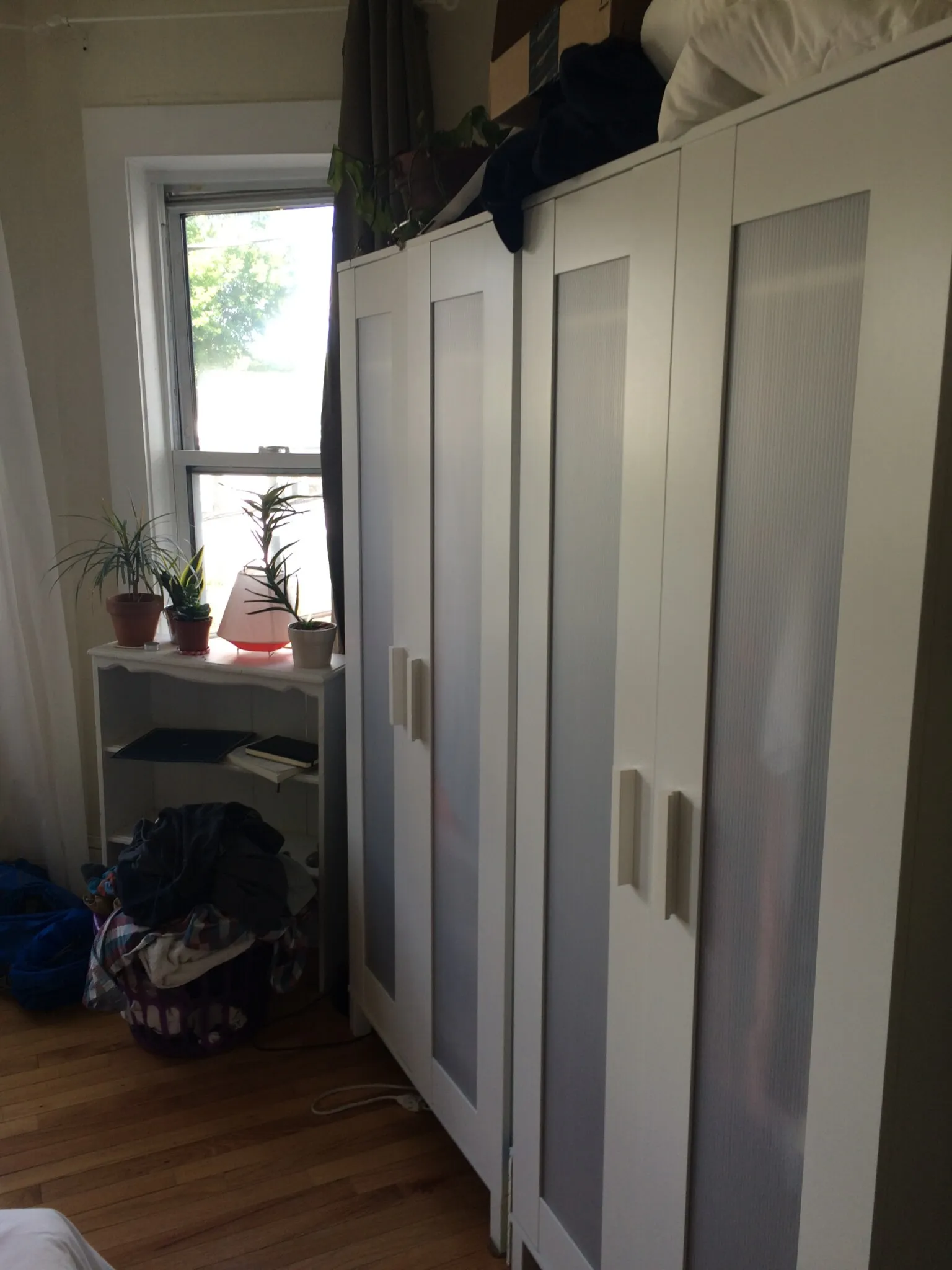 2 bed, 1 bath apartment for rent at 4 Watson St Unit 2M, Cambridgeport — photo 5 of 11