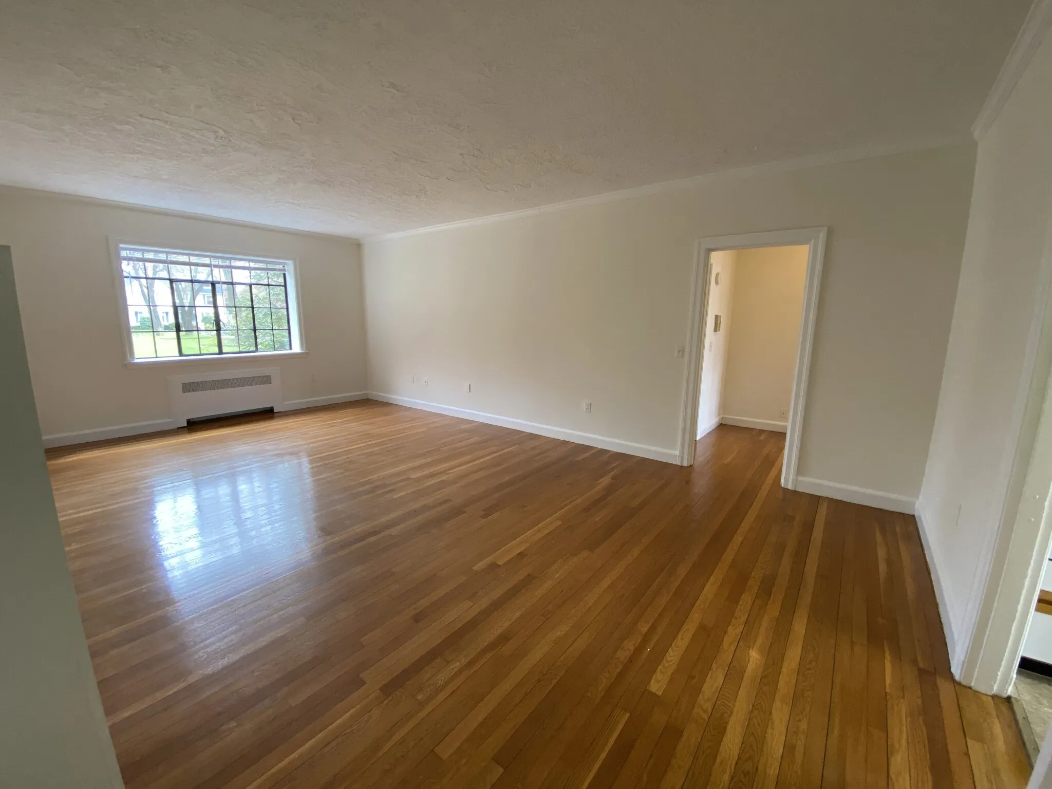1 bed, 1 bath apartment for rent at 40A Harvard Ave Unit 1, Harvard Avenue — photo 2 of 8