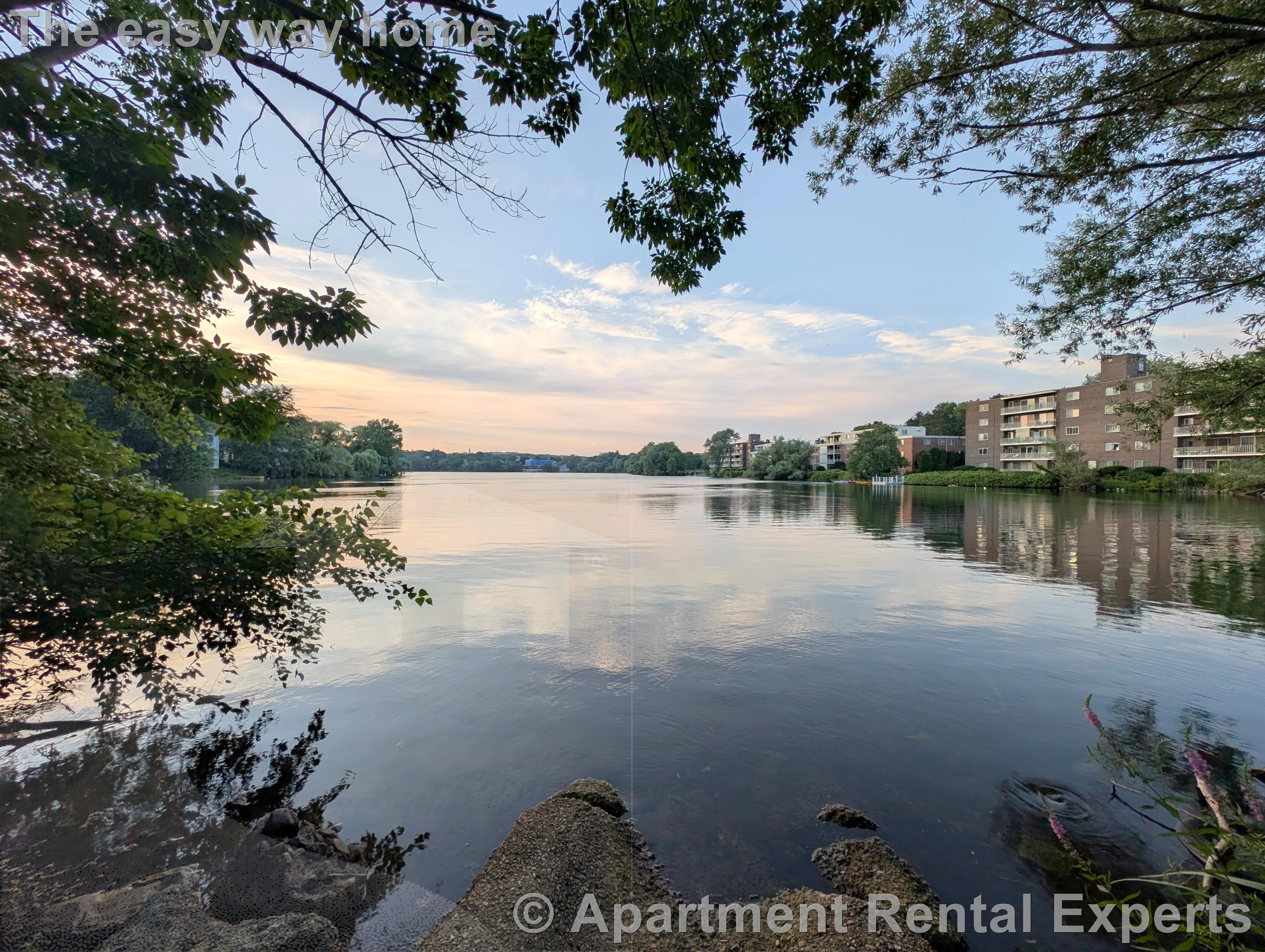 1 bed, 1 bath apartment for rent at 40 Alfred Rd Unit B, East Arlington — photo 15 of 15