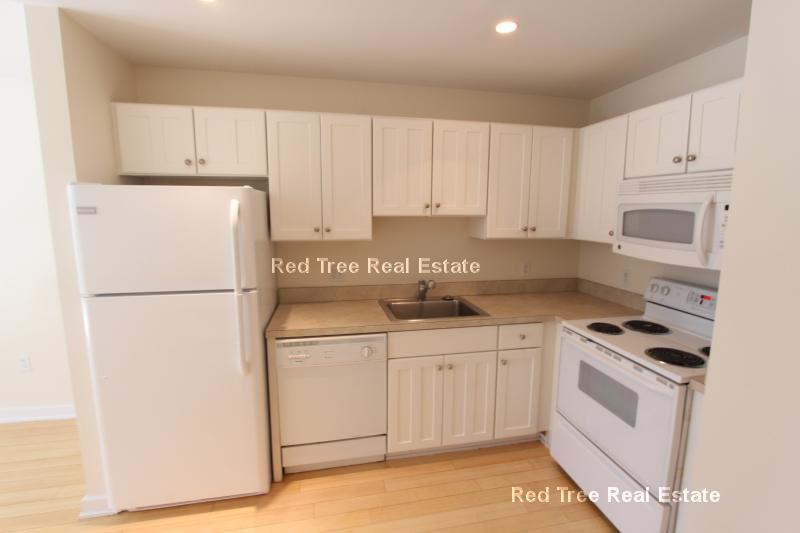 1 bed, 1 bath apartment for rent at 40 Boylston St Unit 203, Back Bay — photo 3 of 13