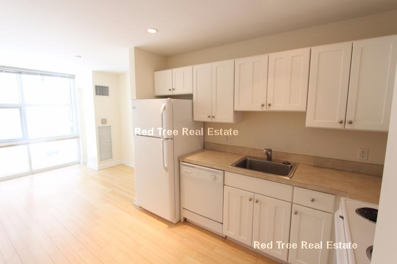 1 bed, 1 bath apartment for rent at 40 Boylston St Unit 203, Back Bay — photo 5 of 13