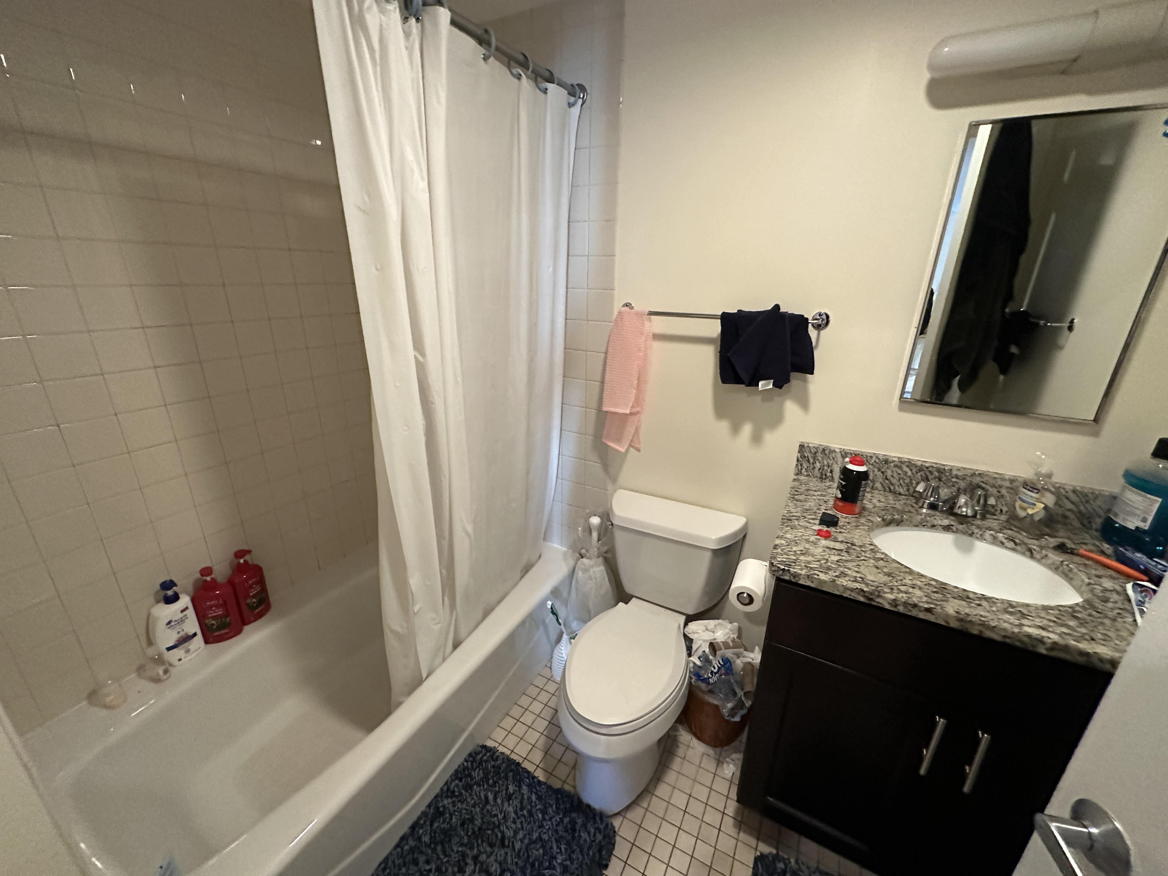 2 bed, 1 bath apartment for rent at 40 Boylston St Unit 305-CF, Boston Downtown — photo 9 of 11