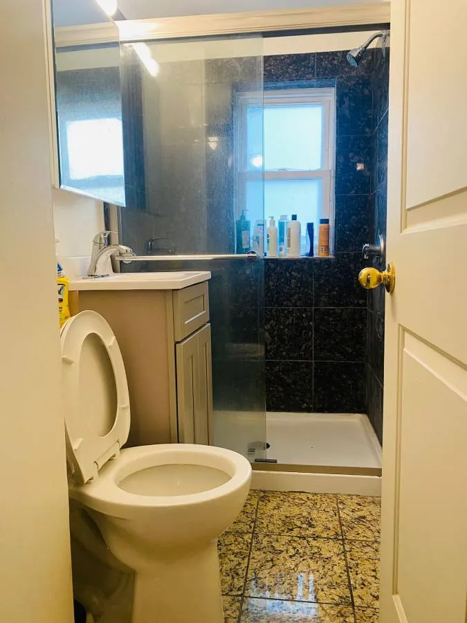 2 bed, 1 bath apartment for rent at 40 Bristol St Unit 1 - 2 split, Wellington-Harrington — photo 19 of 21