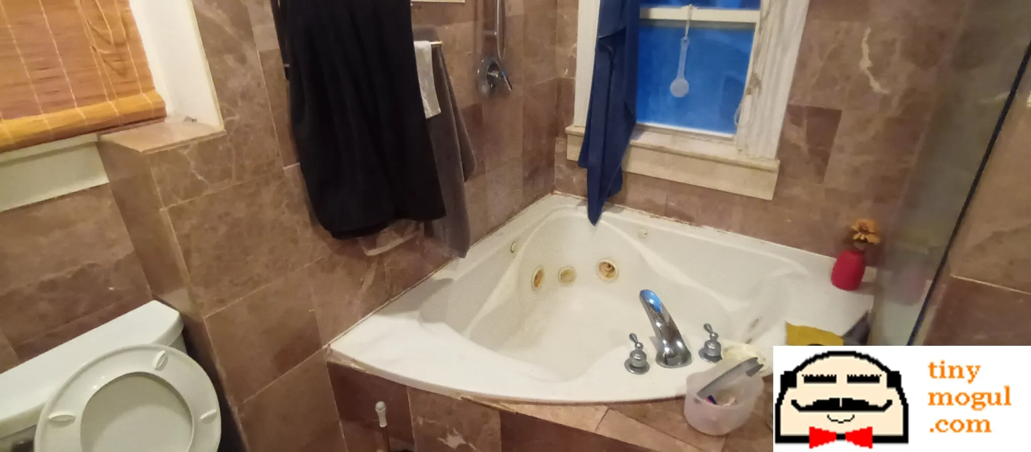 1 bed, 1 bath apartment for rent at 40 Bristol St Unit 3, Wellington-Harrington — photo 2 of 9