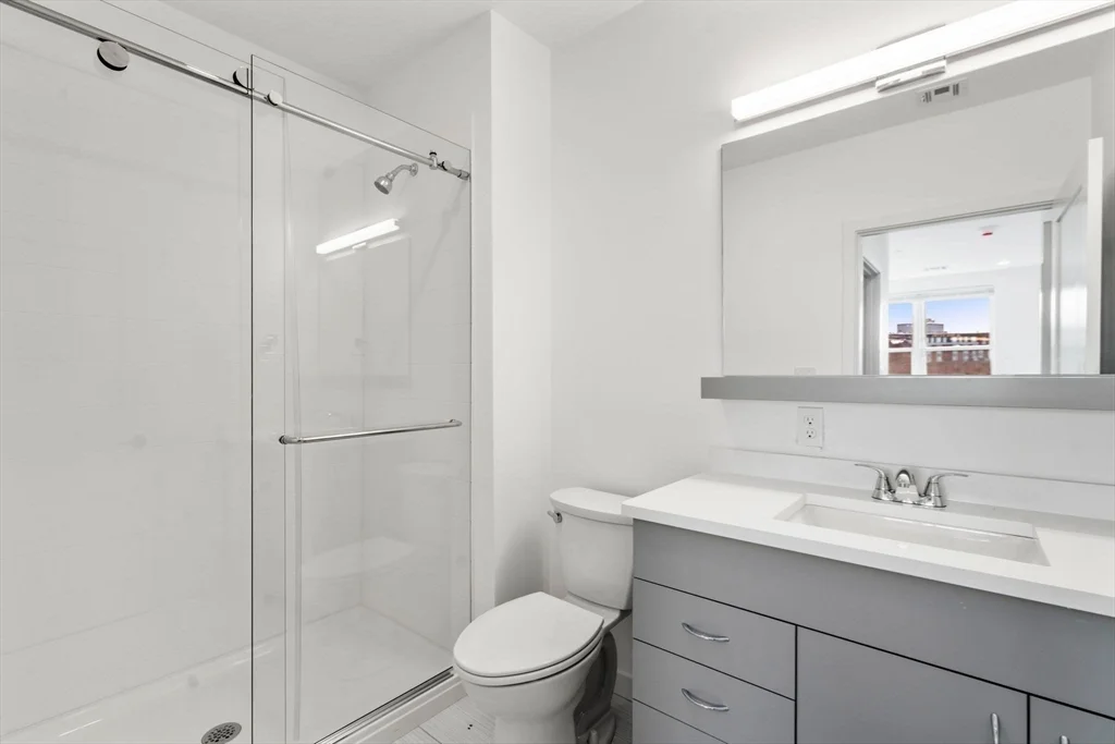 2 bed, 2 bath apartment for rent at 40 Centre St Unit 203, North Brookline — photo 6 of 9