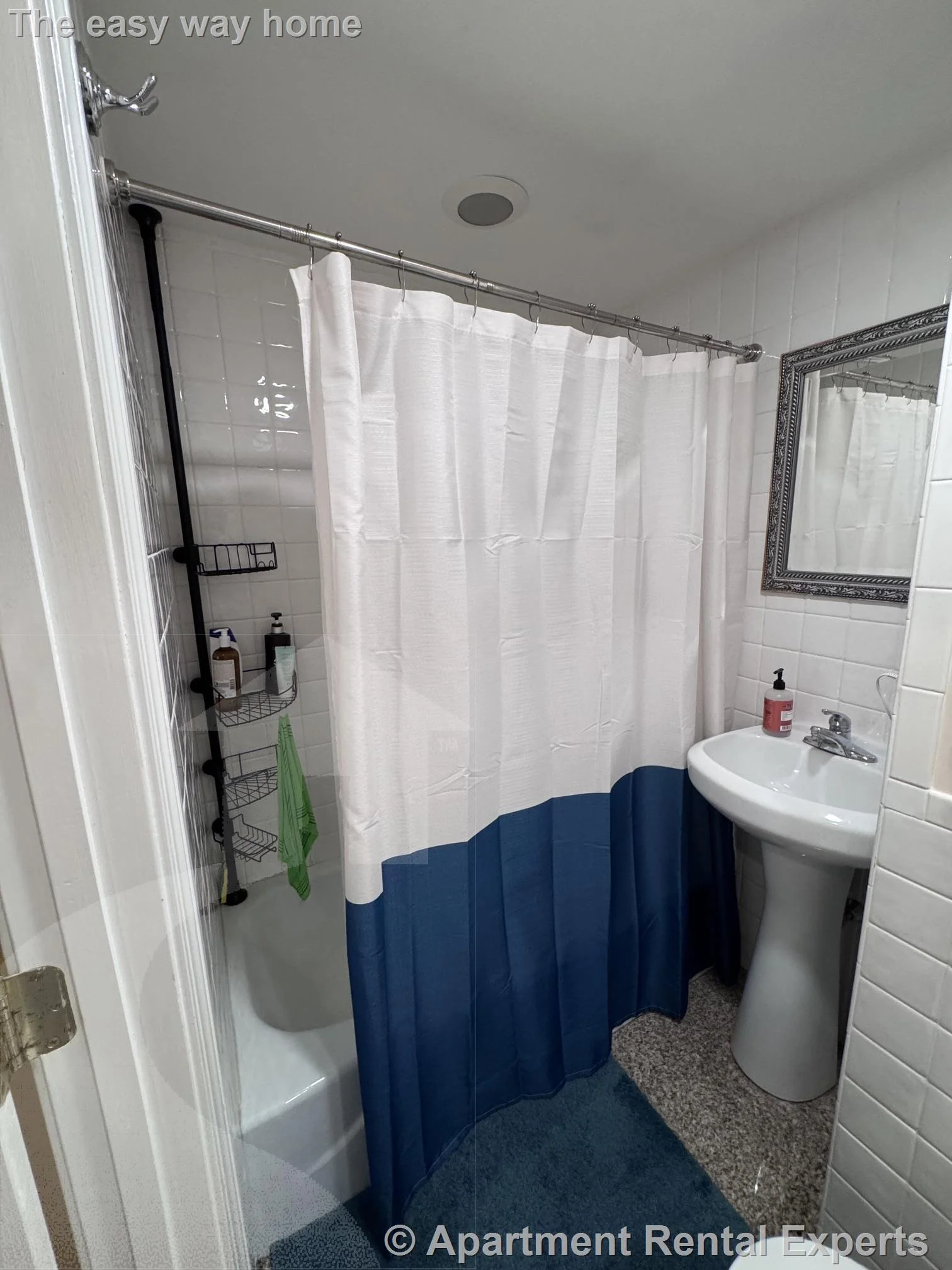 1 bed, 1 bath apartment for rent at 40 Chester St Unit 1L, Davis Square — photo 8 of 9