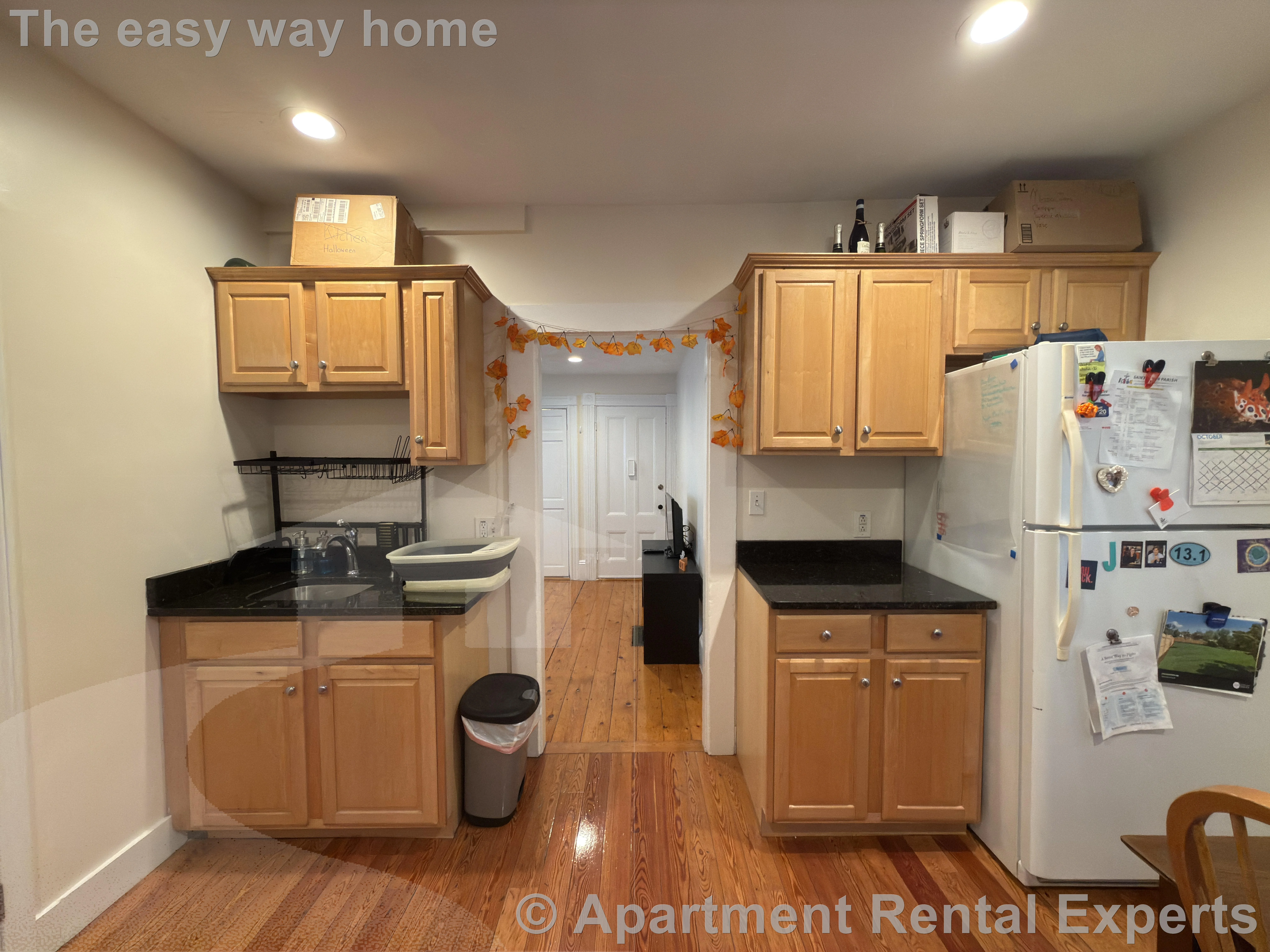 1 bed, 1 bath apartment for rent at 40 Chester St Unit 1R, Davis Square — photo 3 of 26