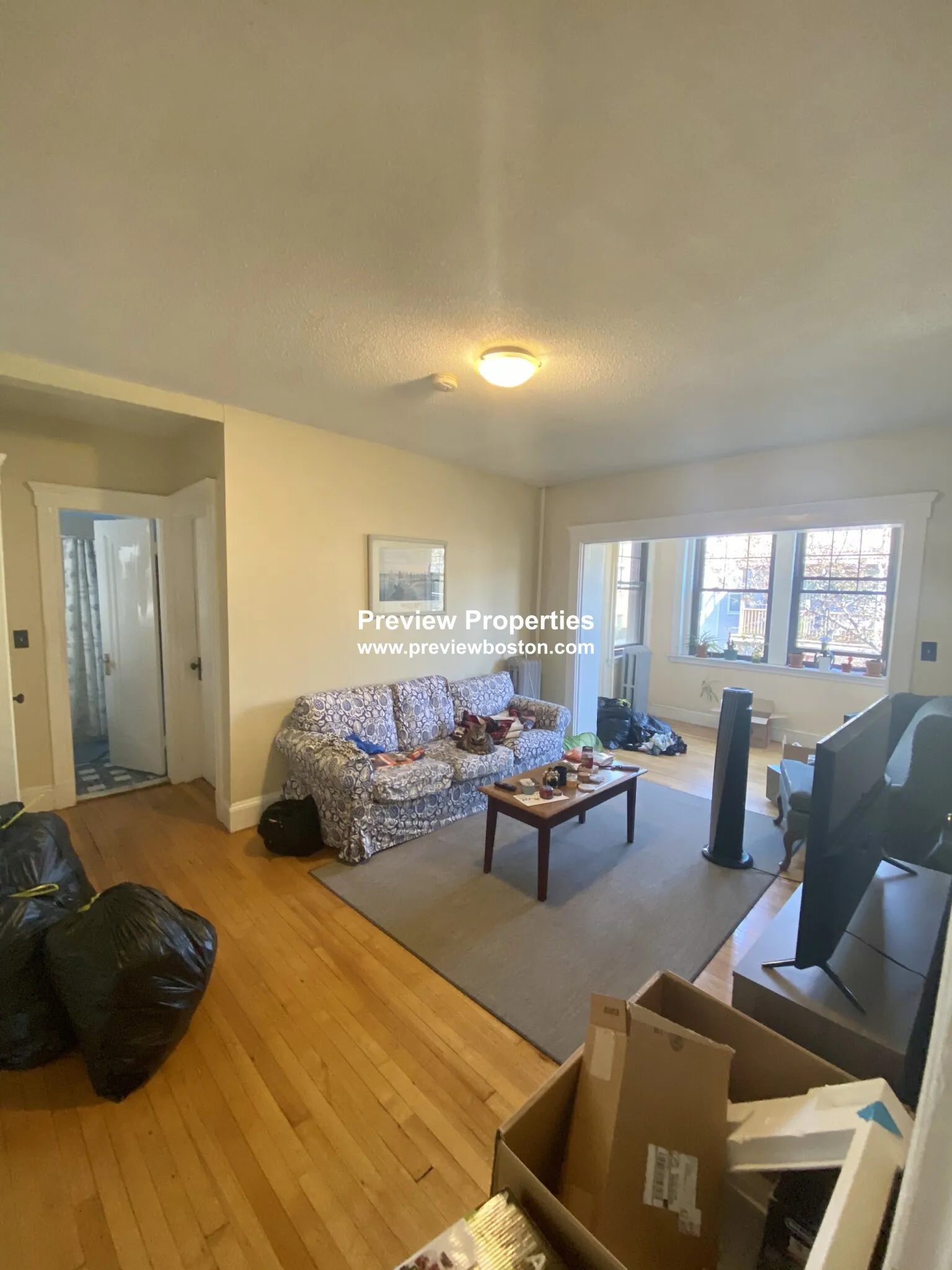 2 bed, 1 bath apartment for rent at 40 Chester St Unit 8P, Allston — photo 4 of 8
