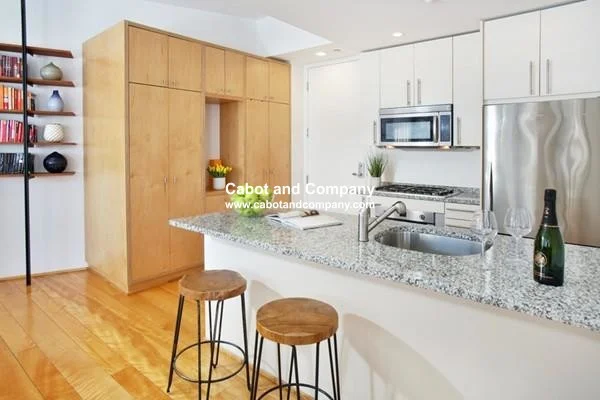 2 bed, 1 bath apartment for rent at 40 Fay St Unit 36, South End — photo 3 of 6