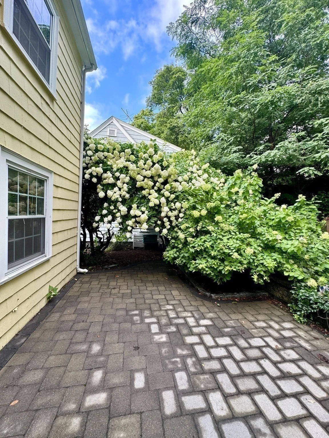 3 bed, 1 bath apartment for rent at 40 Lake Shore Rd Unit SF, Brighton — photo 19 of 21
