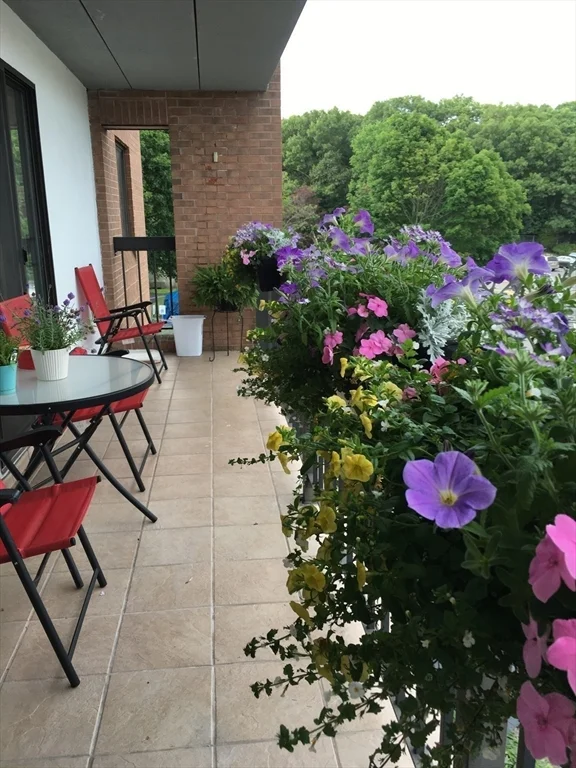 2 bed, 2 bath apartment for rent at 40 Main St Unit 308, Stoneham — photo 14 of 25