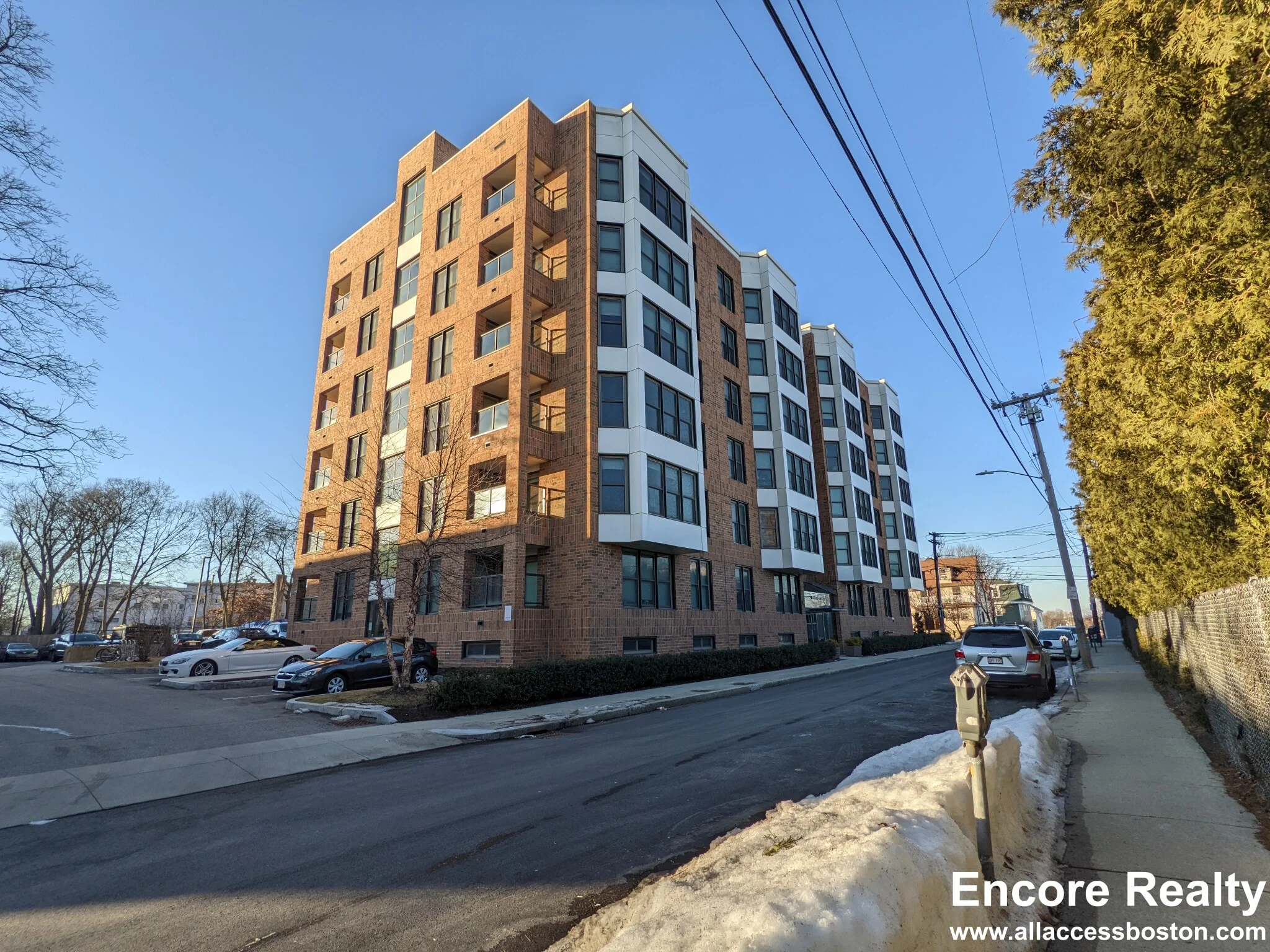 1 bed, 1 bath apartment for rent at 40 Malvern St Unit 107, Allston — photo 22 of 22