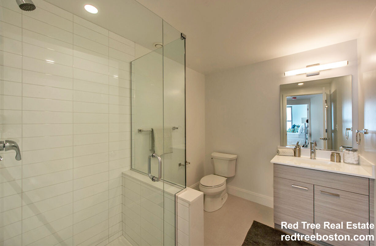 2 bed, 2 bath apartment for rent at 40 Malvern St Unit 205, Allston — photo 8 of 13