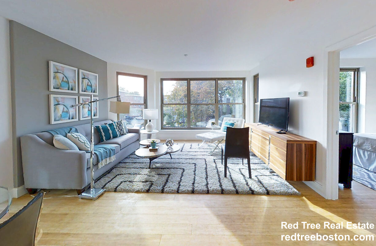 2 bed, 2 bath apartment for rent at 40 Malvern St Unit 205, Allston — photo 3 of 13