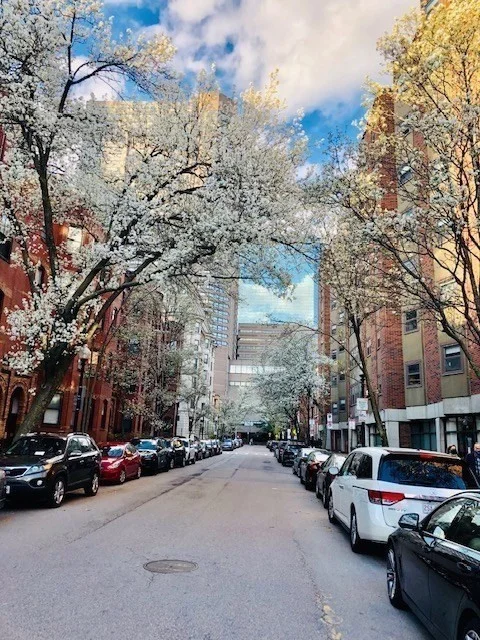 1 bed, 1 bath apartment for rent at 40 Saint Botolph St Unit 22, Back Bay — photo 25 of 25