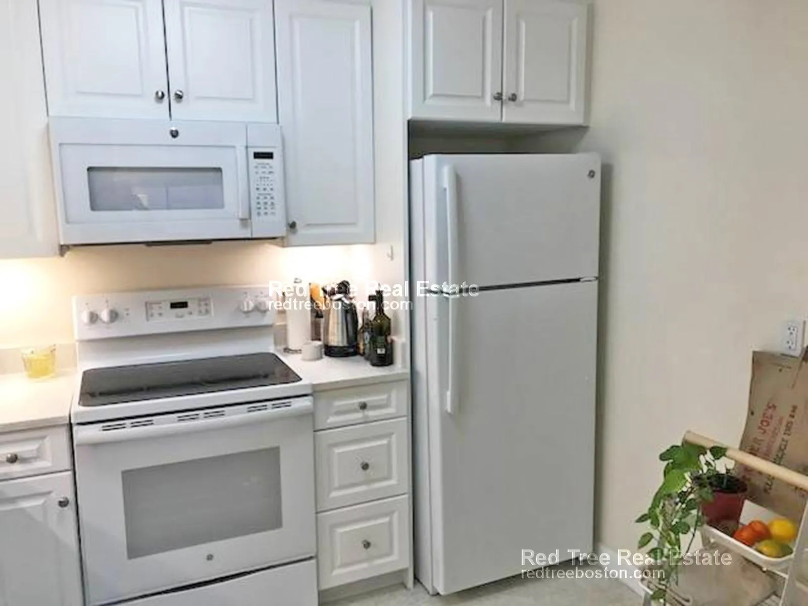 1 bed, 1 bath apartment for rent at 40 Williams St Unit 203, North Brookline — photo 3 of 7