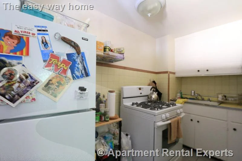 1 bed, 1 bath apartment for rent at 400 Franklin St Unit 4, Central Square — photo 4 of 12
