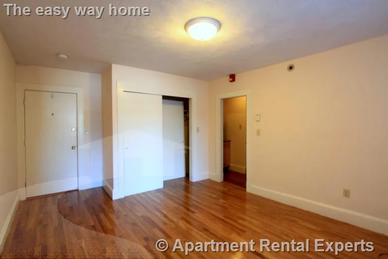 Studio bed, 1 bath apartment for rent at 402 Highland Ave Unit 1, Davis Square — photo 3 of 16