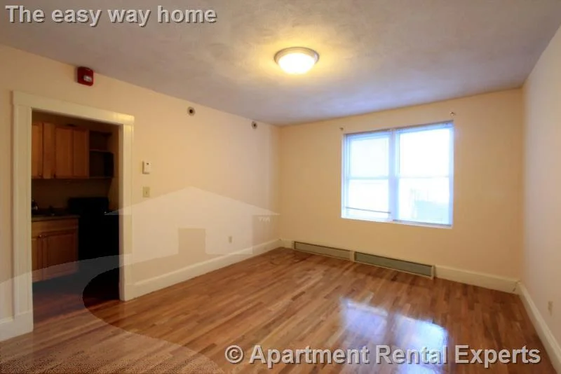 Studio bed, 1 bath apartment for rent at 402 Highland Ave Unit 1, Davis Square — photo 9 of 16