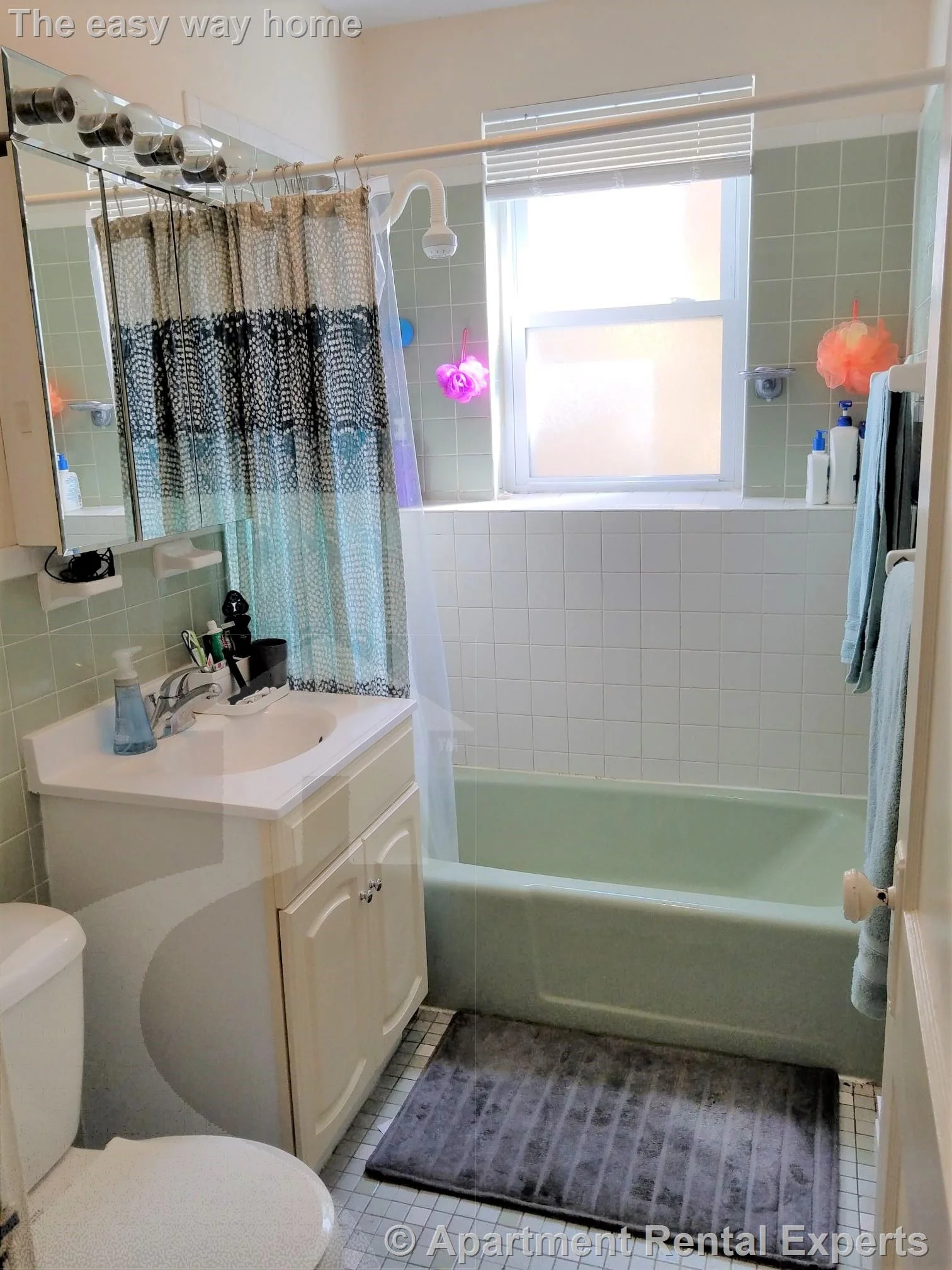 Studio bed, 1 bath apartment for rent at 402 Highland Ave Unit 21, Davis Square — photo 2 of 6