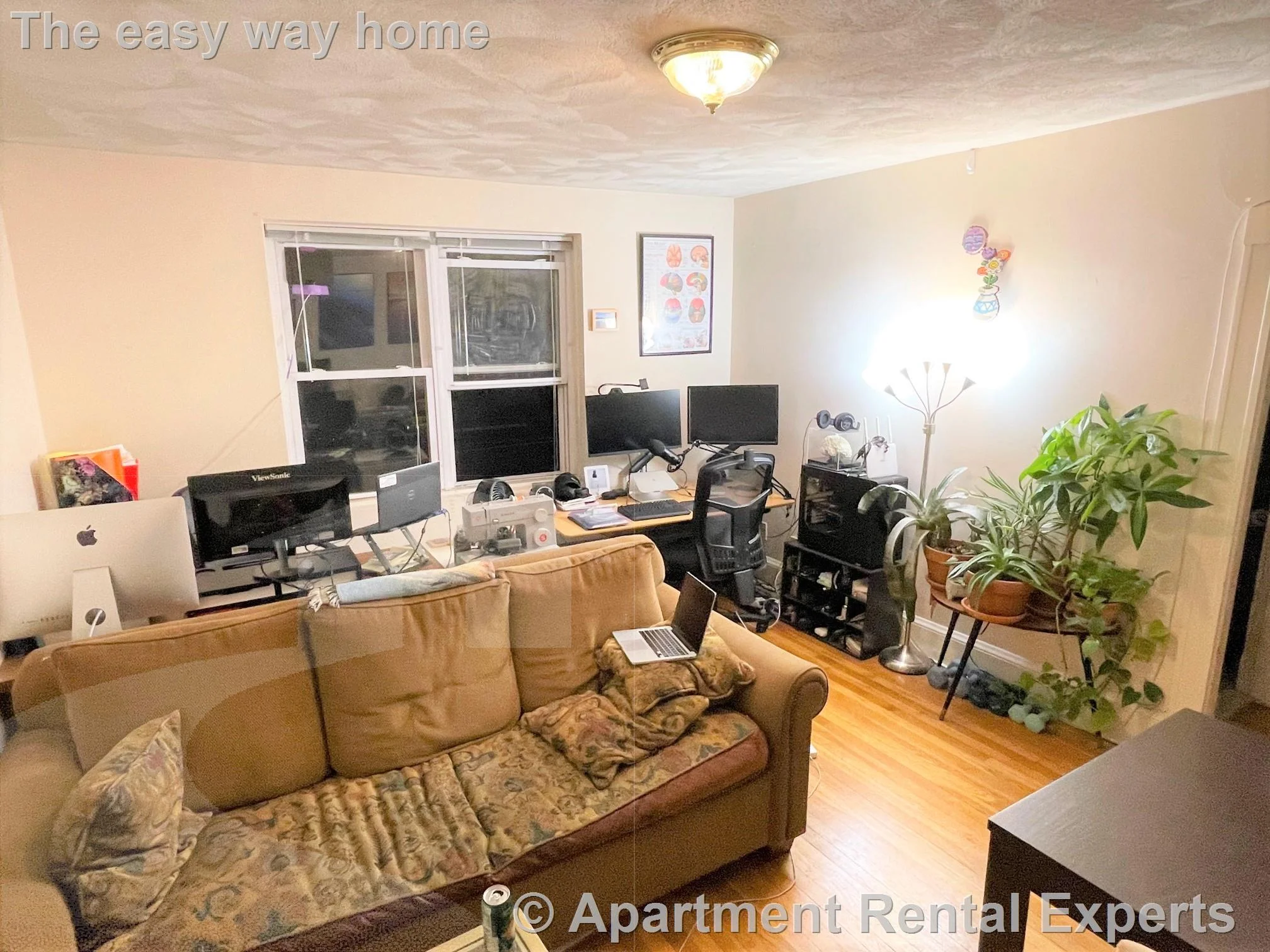 1 bed, 1 bath apartment for rent at 402 Highland Ave Unit 23, Davis Square — photo 3 of 8