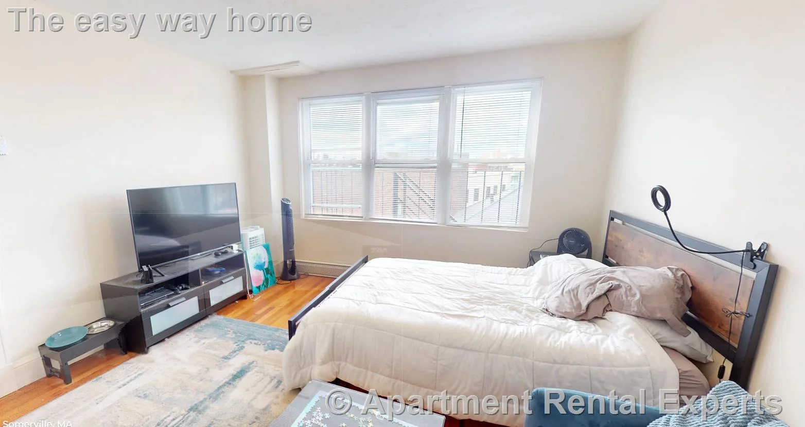 Studio bed, 1 bath apartment for rent at 402 Highland Ave Unit 45, Davis Square — photo 1 of 9
