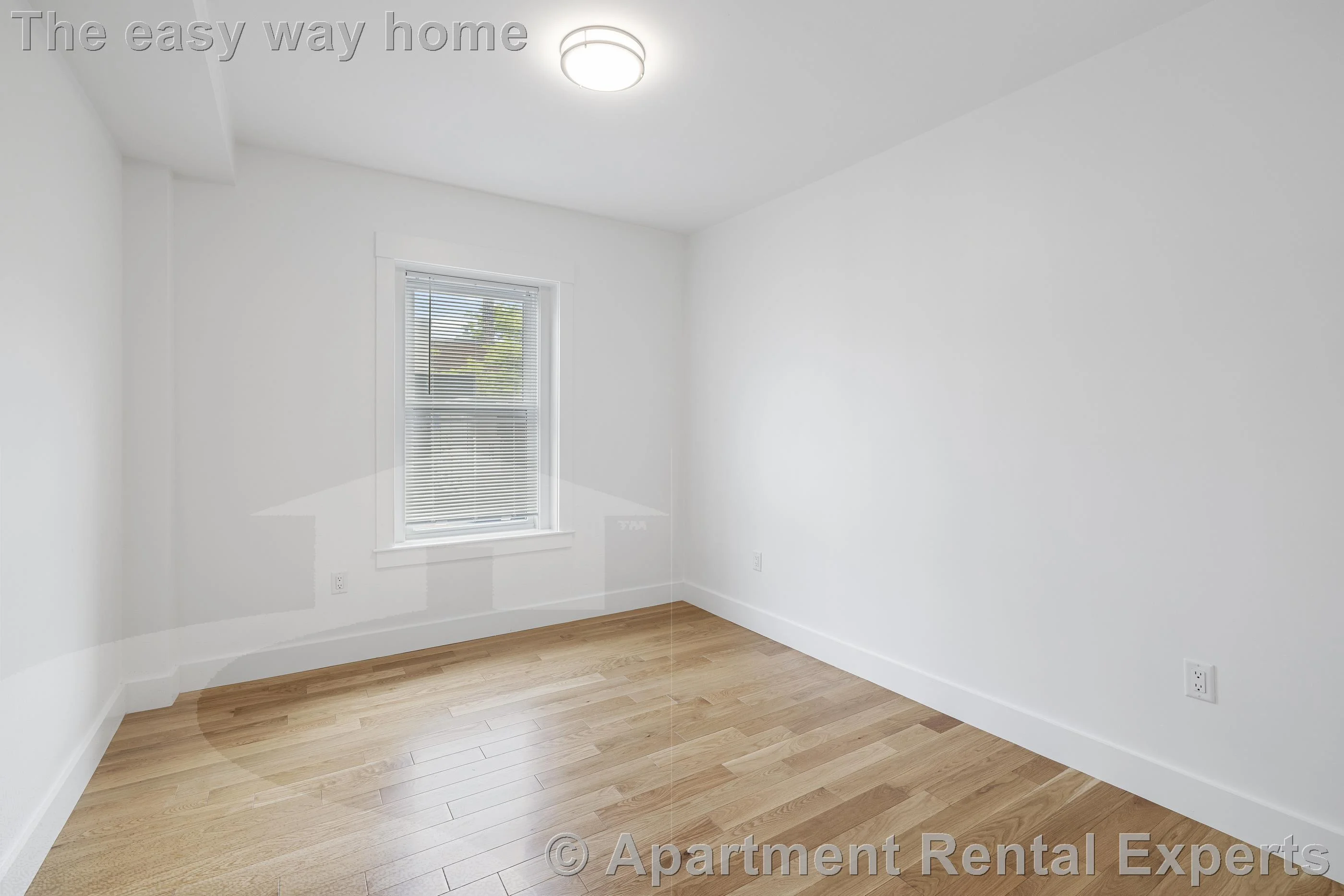 3 bed, 2 bath apartment for rent at 406 Columbia St Unit 2, Central Square — photo 7 of 21