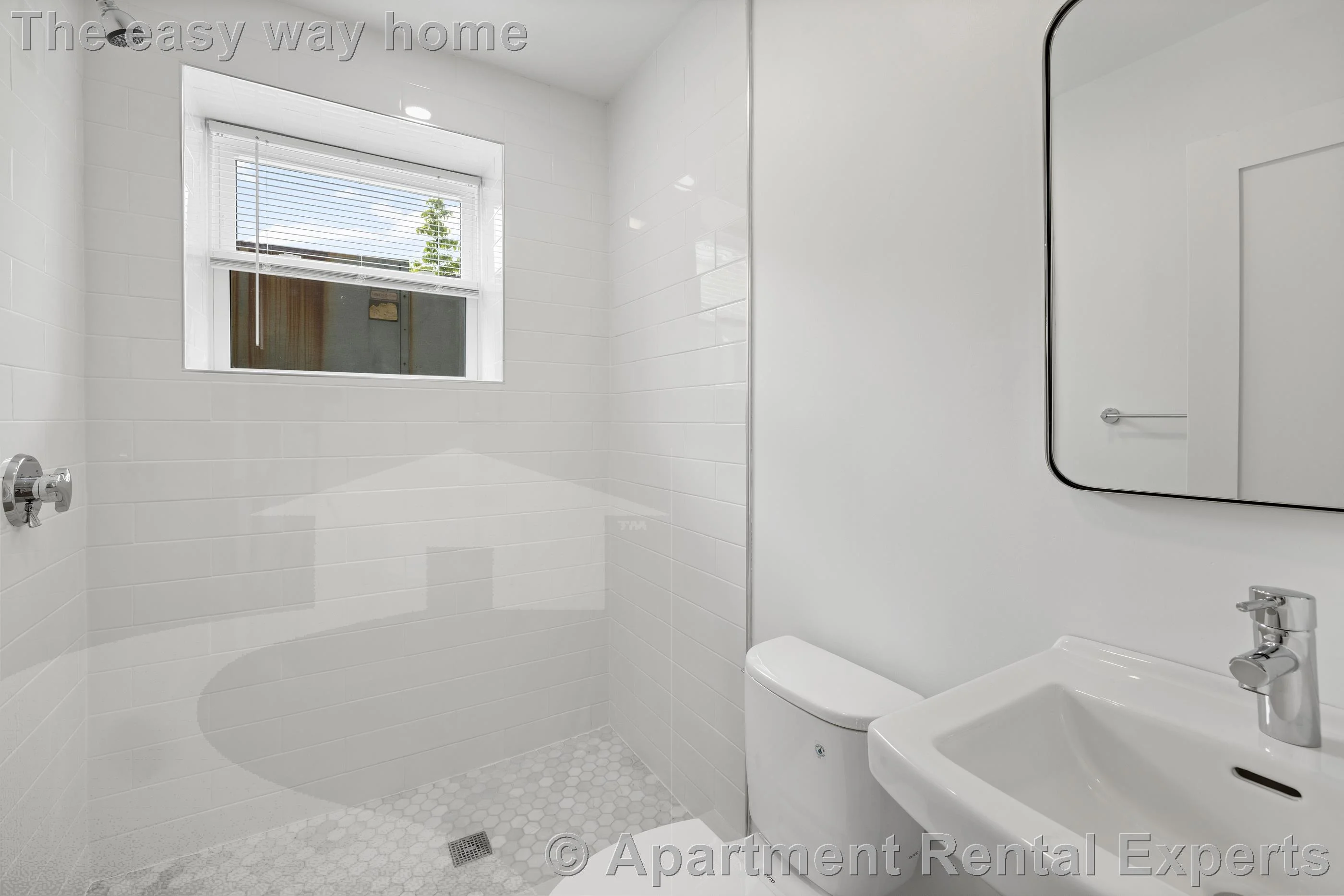 3 bed, 2 bath apartment for rent at 406 Columbia St Unit 2, Central Square — photo 20 of 21