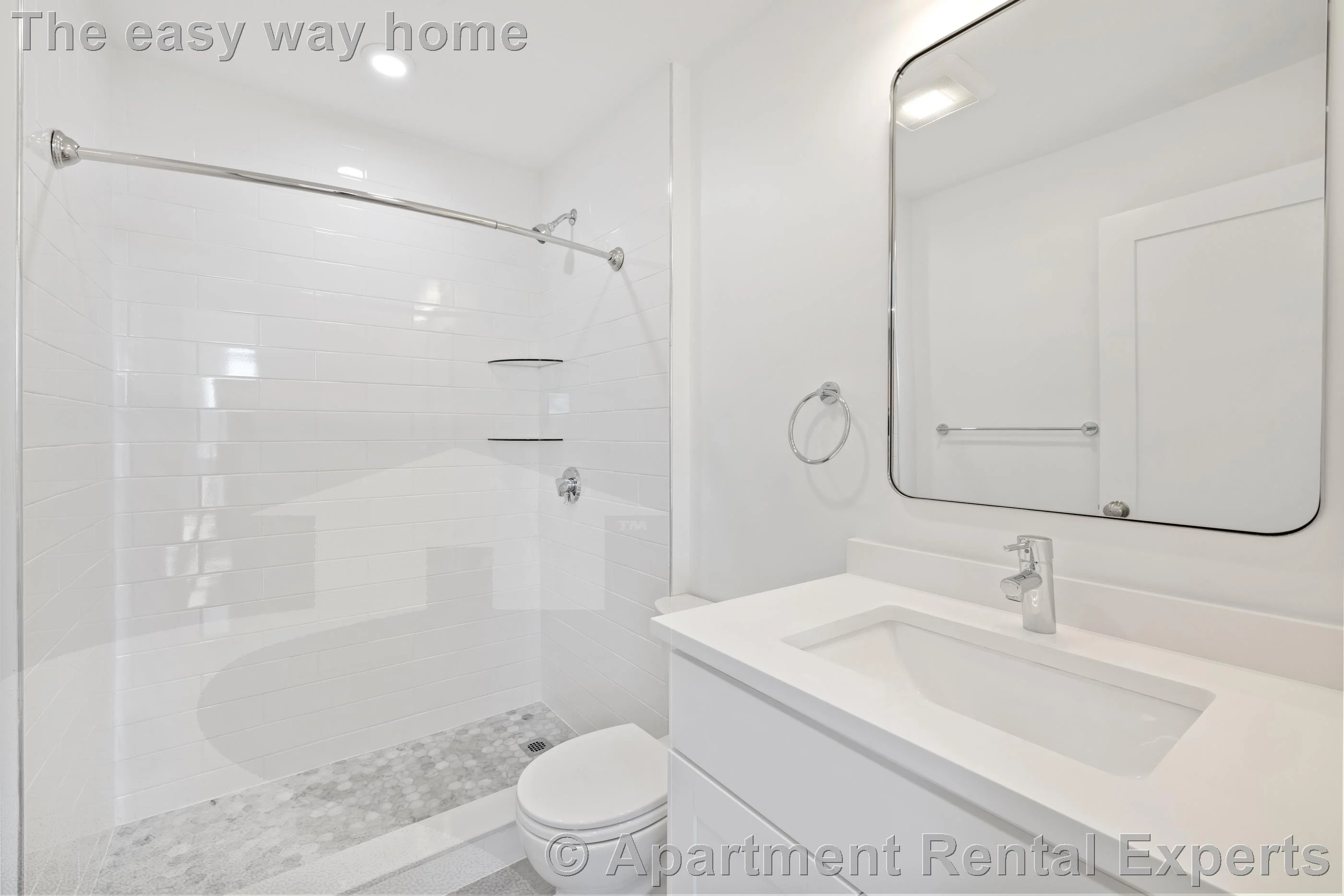 3 bed, 2 bath apartment for rent at 406 Columbia St Unit 6, Central Square — photo 5 of 20