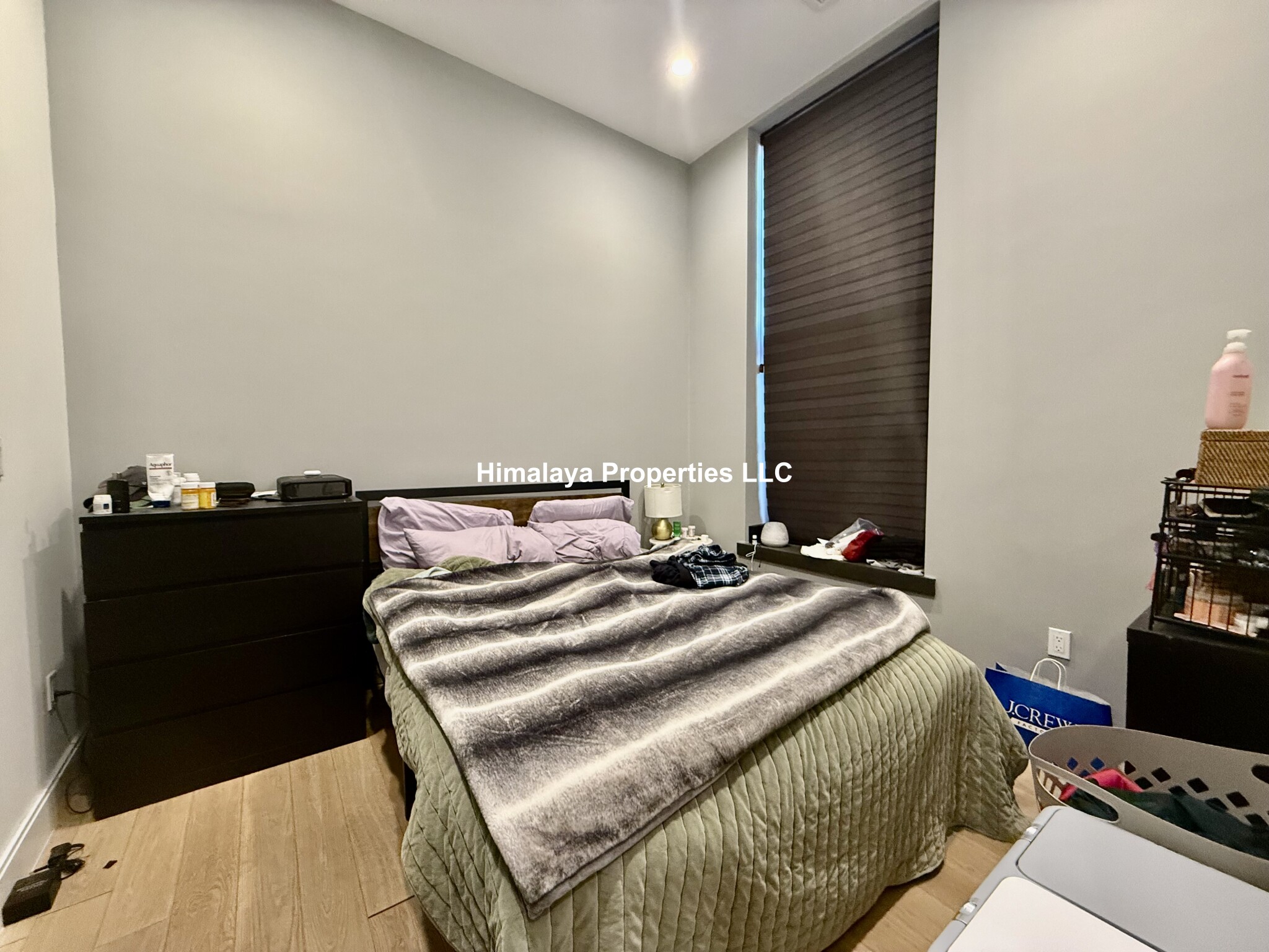 1 bed, 1 bath apartment for rent at 407 Dudley St Unit 2, Roxbury — photo 4 of 5