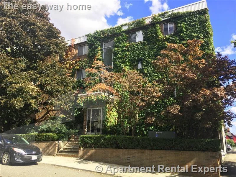 1 bed, 1 bath apartment for rent at 41 Belmont St Unit 23, Porter Square — photo 8 of 10