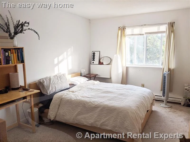 1 bed, 1 bath apartment for rent at 41 Belmont St Unit 23, Porter Square — photo 3 of 10