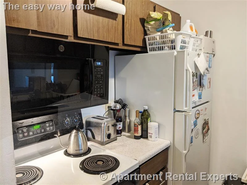 1 bed, 1 bath apartment for rent at 41 Belmont St Unit 23, Porter Square — photo 5 of 10
