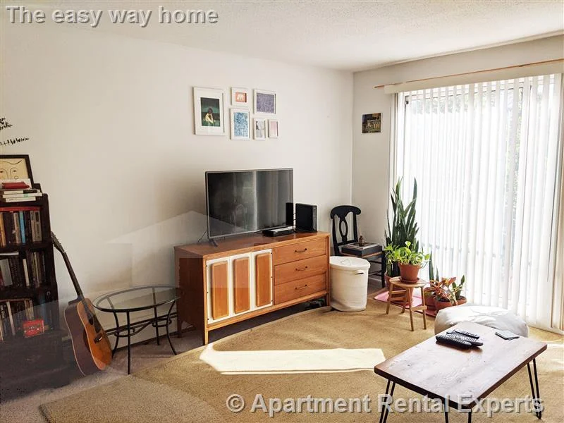 1 bed, 1 bath apartment for rent at 41 Belmont St Unit 25, Porter Square — photo 6 of 11