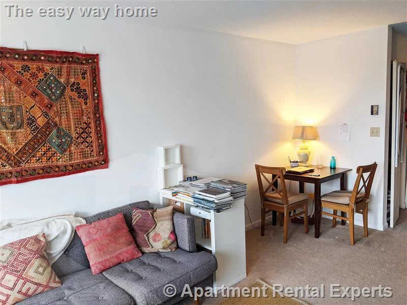 1 bed, 1 bath apartment for rent at 41 Belmont St Unit 25, Porter Square — photo 7 of 11