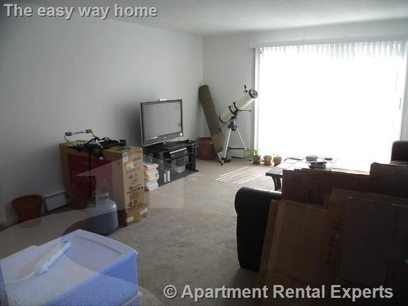 2 bed, 1 bath apartment for rent at 41 Belmont St Unit 28, Porter Square — photo 2 of 9