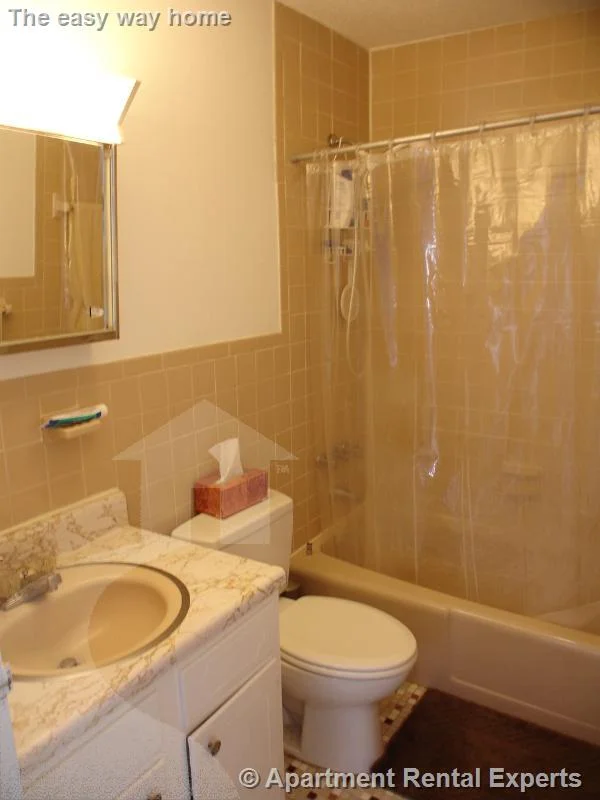 2 bed, 1 bath apartment for rent at 41 Belmont St Unit 28, Porter Square — photo 7 of 9