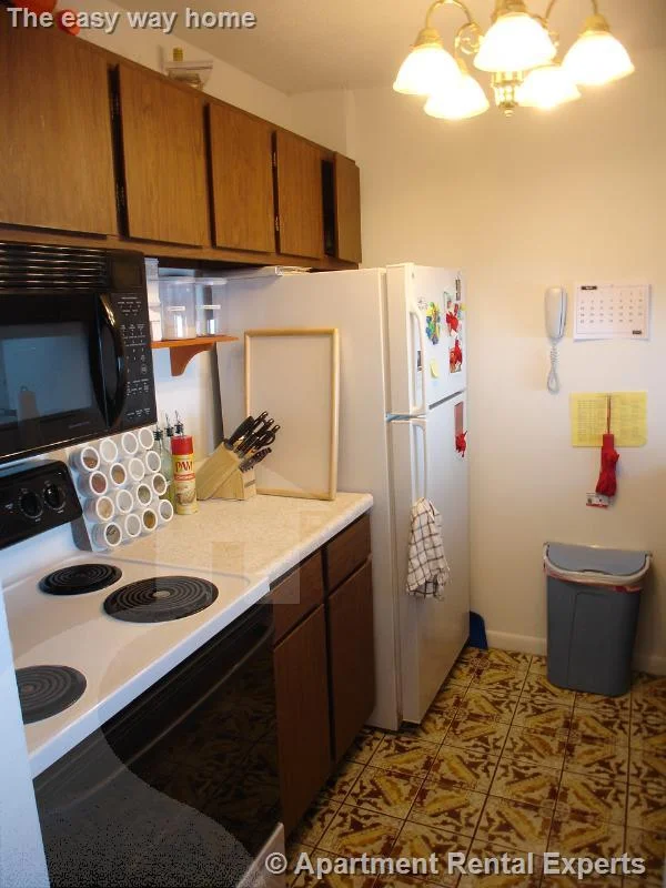 2 bed, 1 bath apartment for rent at 41 Belmont St Unit 28, Porter Square — photo 5 of 9