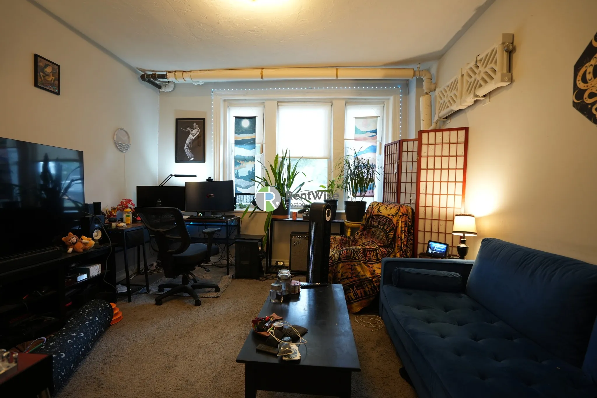 1 bed, 1 bath apartment for rent at 41 Chestnut Hill Ave Unit 11, Brighton — photo 2 of 16
