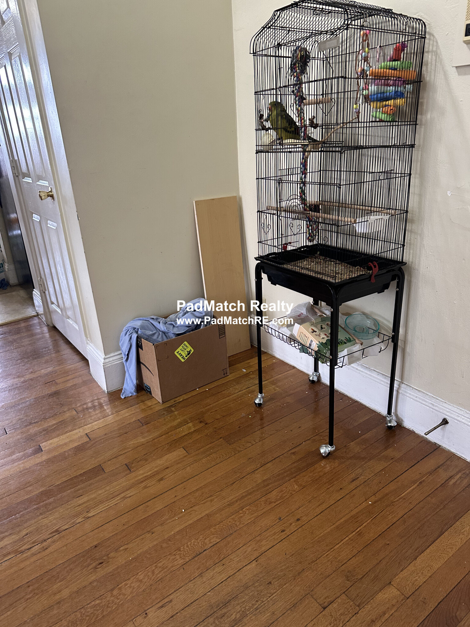 3 bed, 2 bath apartment for rent at 41 Chestnut Hill Ave Unit 23, Brighton — photo 2 of 11