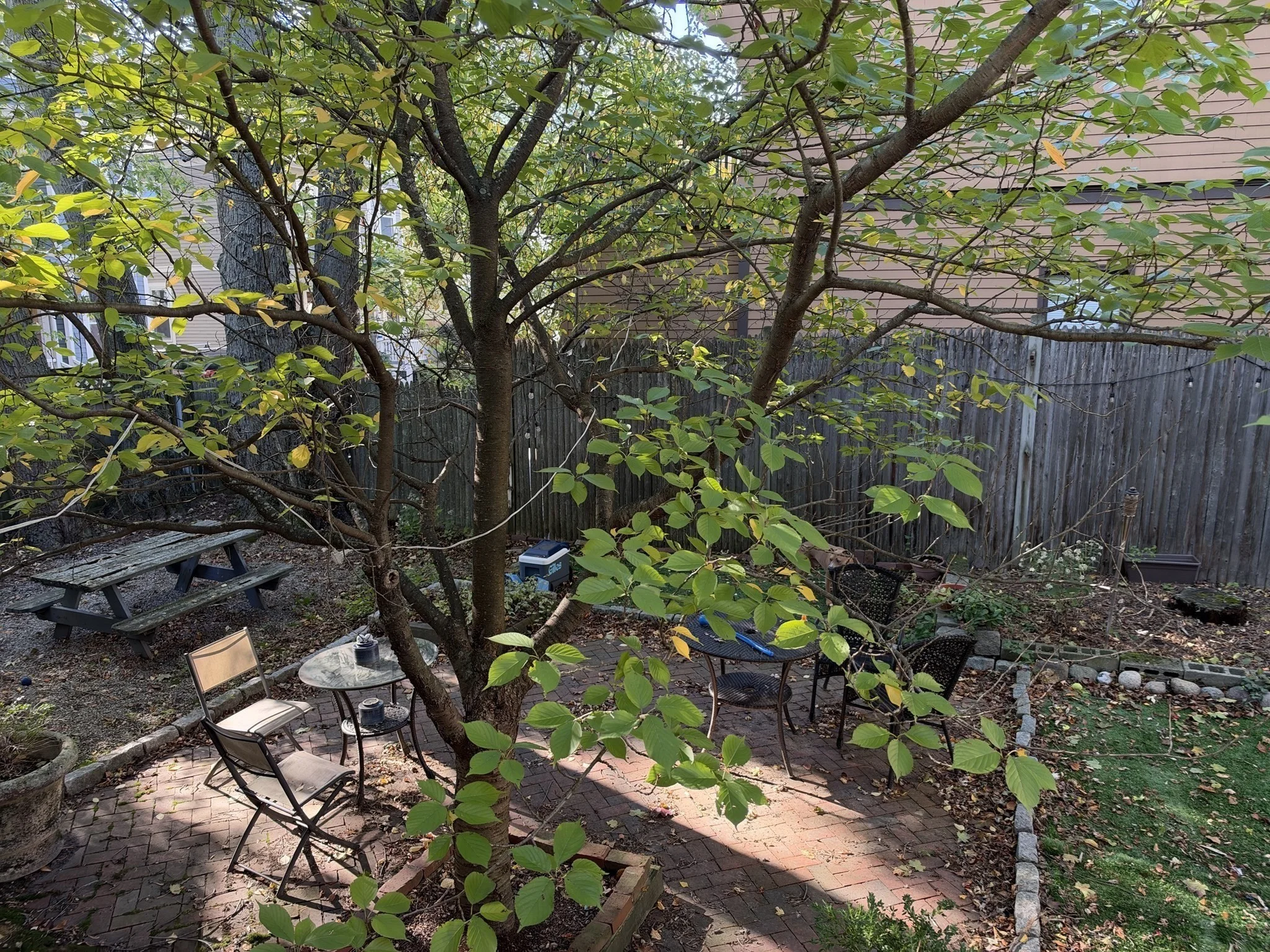 2 bed, 1 bath apartment for rent at 41 Creighton St Unit 0, North Cambridge — photo 9 of 12