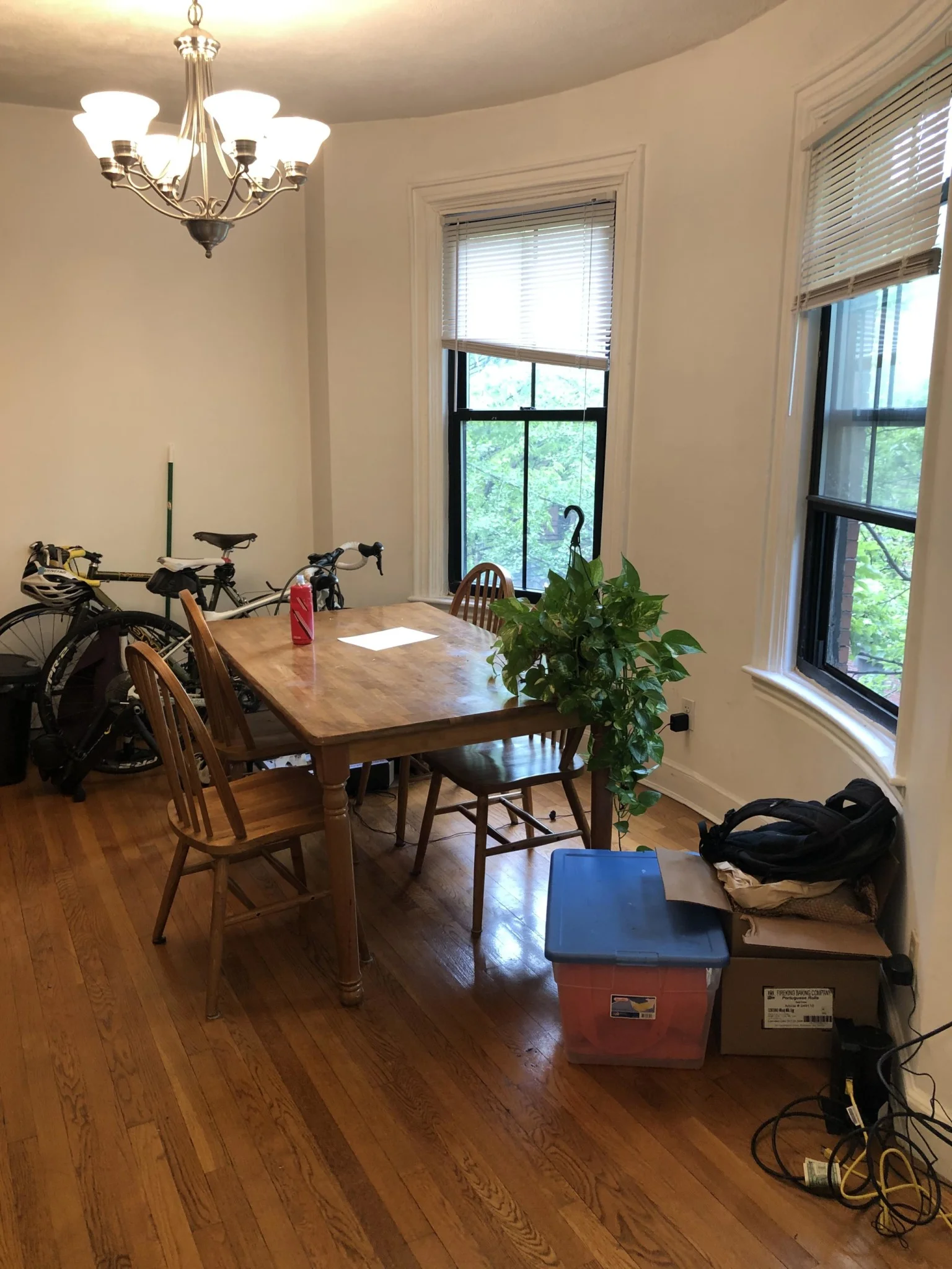 2 bed, 1 bath apartment for rent at 41 East Springfield Unit 4, South End — photo 4 of 14