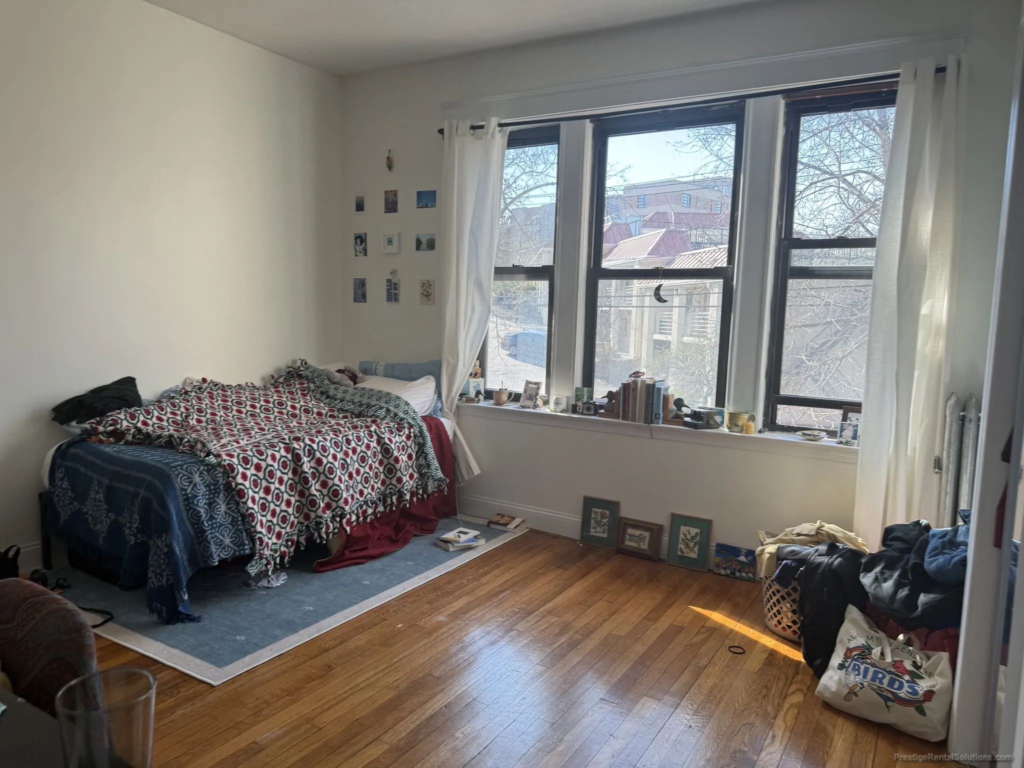 4 bed, 2 bath apartment for rent at 41 Egremont Rd Unit 5, Brighton — photo 7 of 16