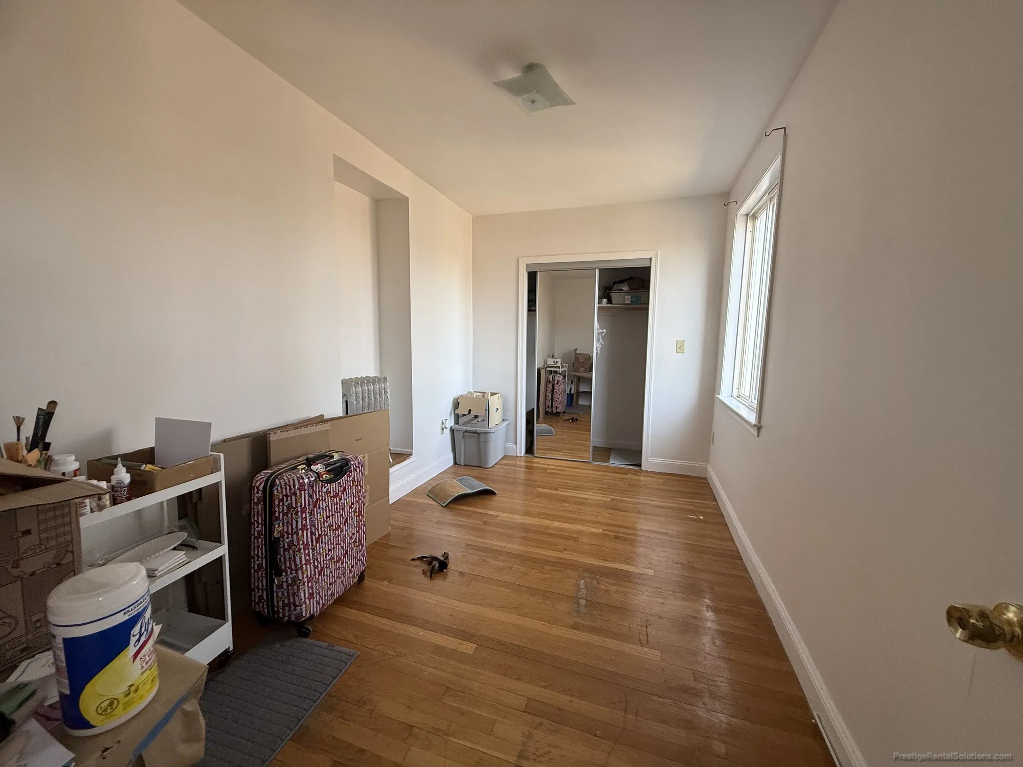 4 bed, 2 bath apartment for rent at 41 Egremont Rd Unit 5, Brighton — photo 4 of 16