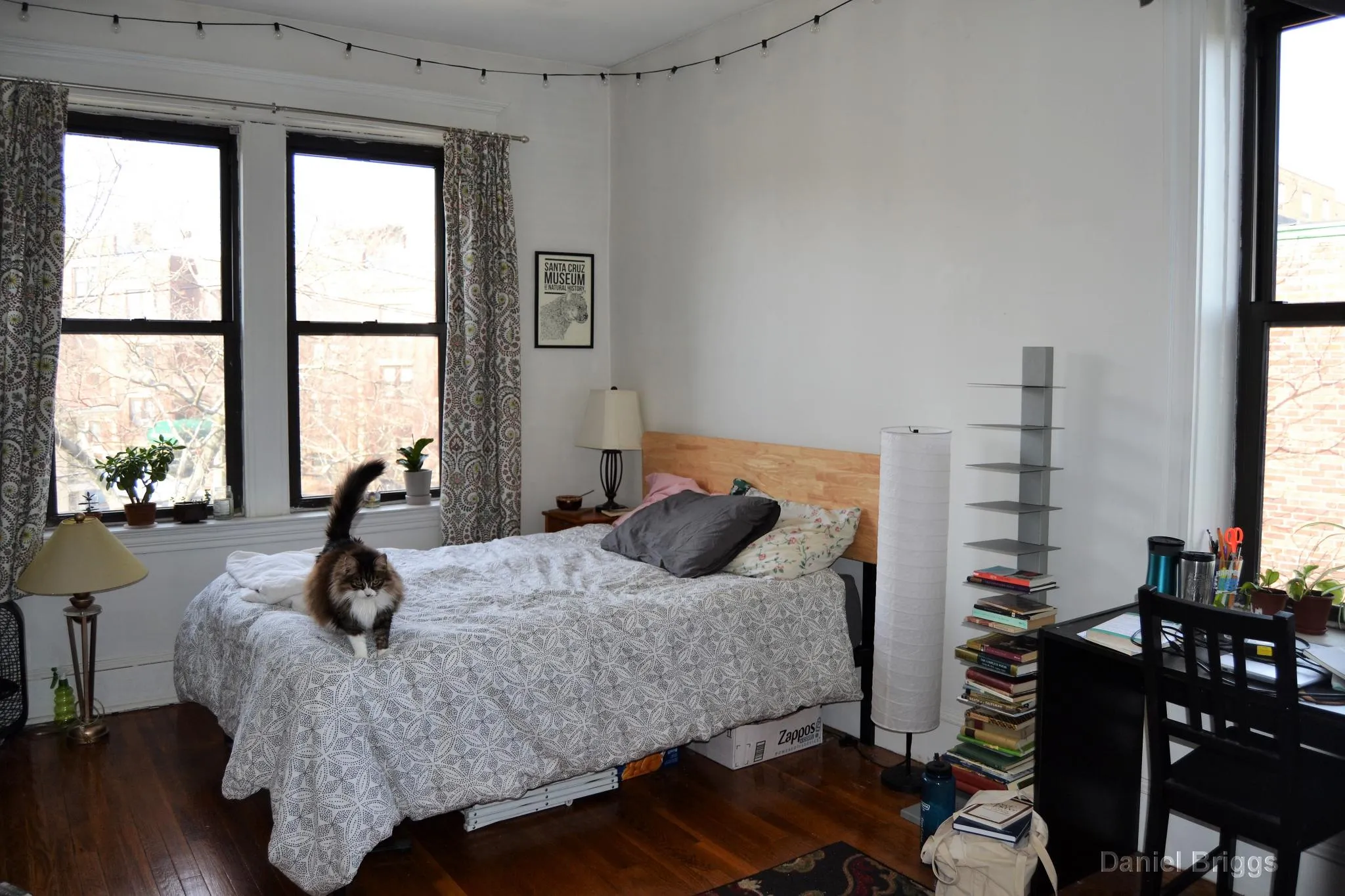 5 bed, 2 bath apartment for rent at 41 Egremont Rd Unit 6, Brighton — photo 34 of 37