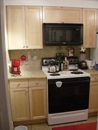 1 bed, 1 bath apartment for rent at 41 Haven St Unit B-6, South End — photo 8 of 15