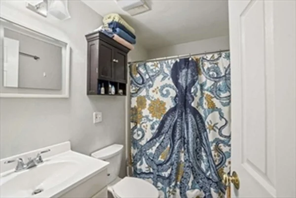 1 bed, 1 bath apartment for rent at 41 Haven St Unit B-6, South End — photo 9 of 15