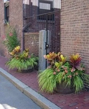 1 bed, 1 bath apartment for rent at 41 Haven St Unit B-6, South End — photo 14 of 15