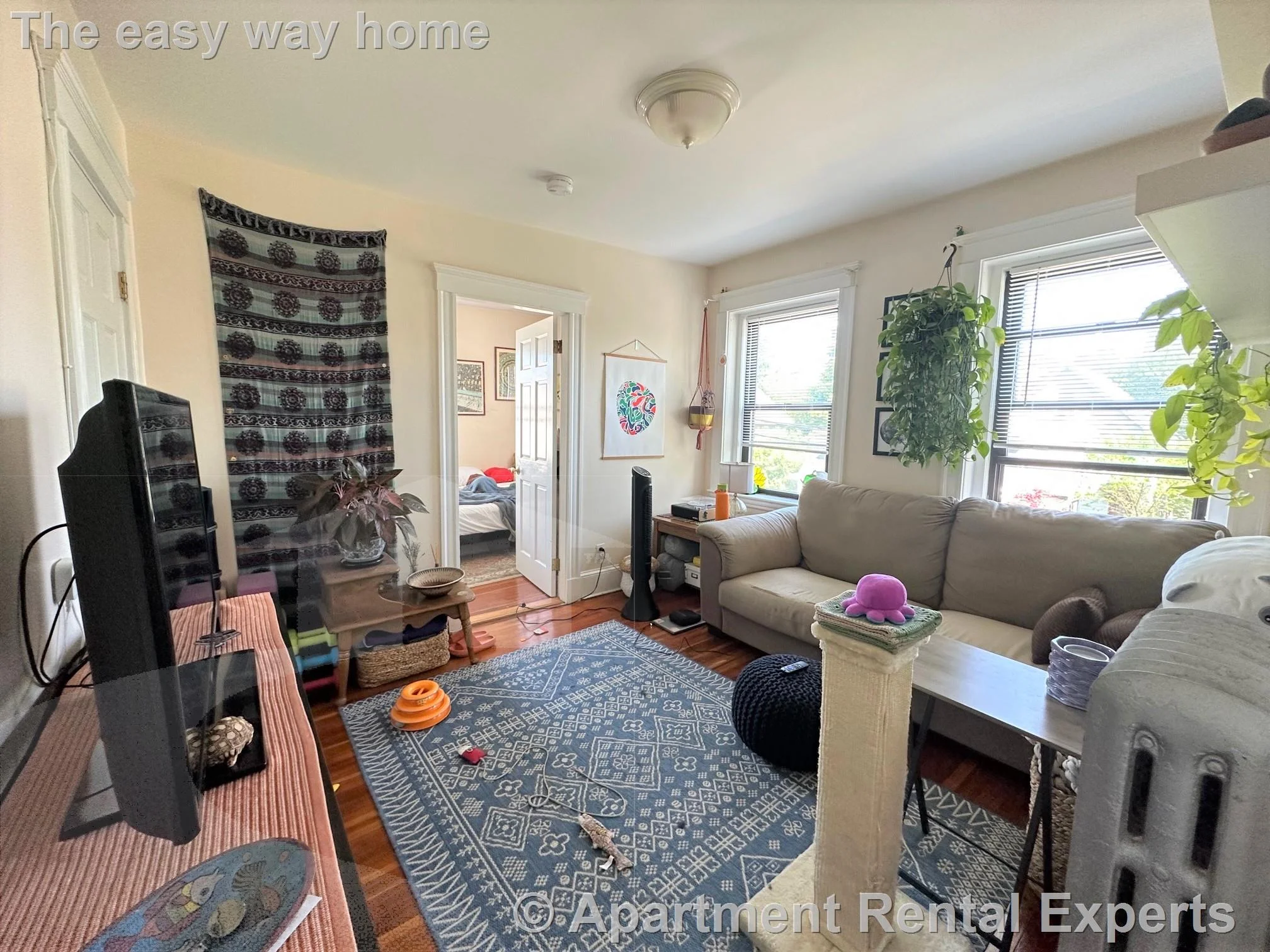 1 bed, 1 bath apartment for rent at 41 Ivaloo St Unit 8, Porter Square — photo 11 of 15